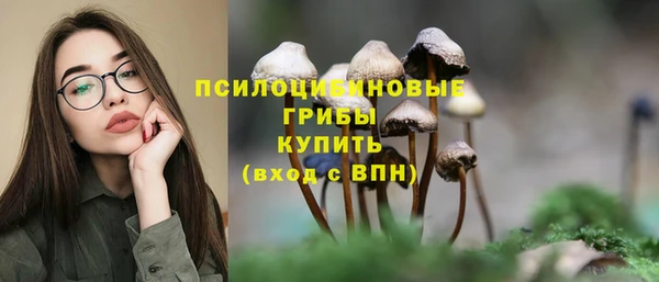 гидропоника Алексеевка