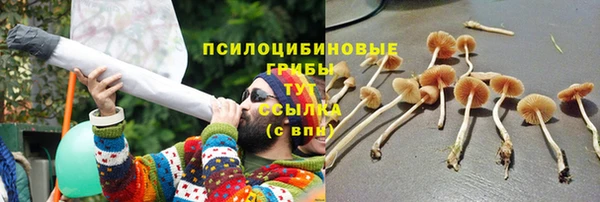 гидропоника Алексеевка