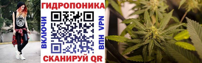 как найти закладки Буй Бошки марихуана MAZAR